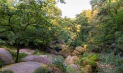 Die bekannste Stelle von Huelgoat - das Chaos Die bekannste Stelle von Huelgoat - das Chaos