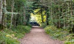 Nach einer langen Tour ist Günther ein toller Anblick! Nach einer langen Tour ist Günther ein toller Anblick!