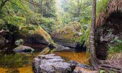 Der Teich der Feen Der Teich der Feen