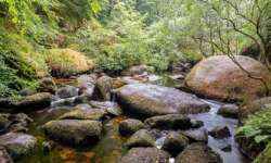 Der Silberbach Der Silberbach