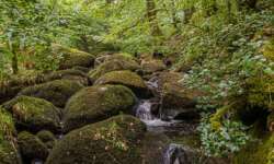 Ein Traum für Fotografen Ein Traum für Fotografen