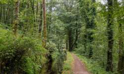 Einsamkeit pur Einsamkeit pur