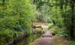 Endspurt am Kanal Endspurt am Kanal