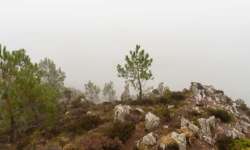 Aussichtsfelsen im Morgennebel - Vor dir: Das Meer Aussichtsfelsen im Morgennebel - Vor dir: Das Meer