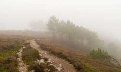 Der GR 34 im Nebel Der GR 34 im Nebel