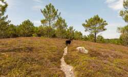 GR34-Wanderweg über die Heide