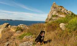 Boykott der Aussicht Boykott der Aussicht