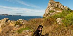 Boykott der Aussicht Boykott der Aussicht