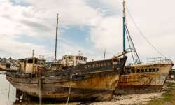 Immerhin haben sie sich Immerhin haben sie sich