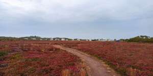 Blick zum Wohnmobil-Parkplatz Blick zum Wohnmobil-Parkplatz