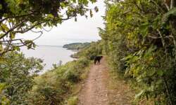 Auf dem GR 34 in der Nähe des Leuchtturms Auf dem GR 34 in der Nähe des Leuchtturms