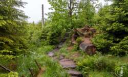 Toll angelegter Pfad Toll angelegter Pfad