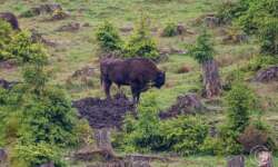 Der Chef testet das Gelände Der Chef testet das Gelände