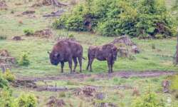 Beziehungskrise Beziehungskrise