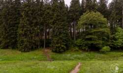 Tolle Wege durchs Gehege Tolle Wege durchs Gehege