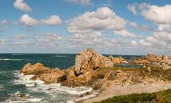 Das Mammut am Strand Das Mammut am Strand