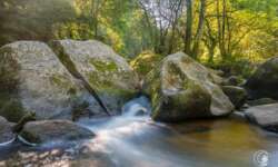 Felsen und Wasser Felsen und Wasser
