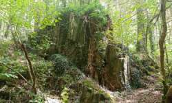 Felsen im Bachtal Felsen im Bachtal