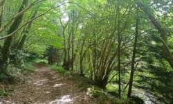 traumhafte Landschaft