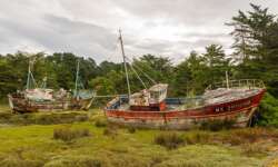 Die beiden haben ihre besten Tage hinter sich.