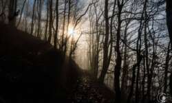 Nebel über dem Moseltal Nebel über dem Moseltal