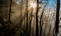 sun explosion sun explosion