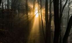 Wenn die Sonne druchbricht Wenn die Sonne druchbricht