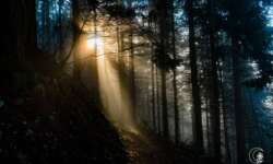 Mein Sonnenstrahl Mein Sonnenstrahl