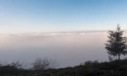 Blick über das Moseltal Blick über das Moseltal
