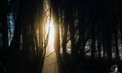 Ein einzigartiger Moment! Ein einzigartiger Moment!