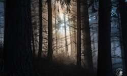 Und dann brach die Sonne durch... Und dann brach die Sonne durch...