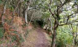 Wunderschöne Wege Wunderschöne Wege