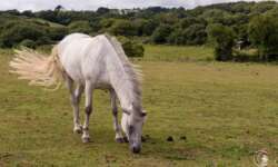 Man trifft nur selten andere Geocacher Man trifft nur selten andere Geocacher