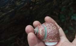 Tolle kleine Dosen Tolle kleine Dosen