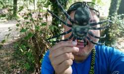 Achtung vor gefährlichen Tieren Achtung vor gefährlichen Tieren