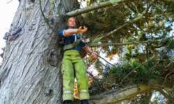 Klettern gibts selten... Klettern gibts selten...