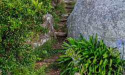 Tolle Wege durch die Bretagne Tolle Wege durch die Bretagne