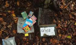 17 Jahre Logbuchsammlung 17 Jahre Logbuchsammlung