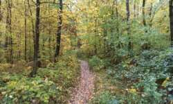 Hin auf dem Feldweg, zurück auf dem Wanderpfad Hin auf dem Feldweg, zurück auf dem Wanderpfad