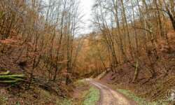 Einsam, ruhig und typisch Schwäbische Alb Einsam, ruhig und typisch Schwäbische Alb
