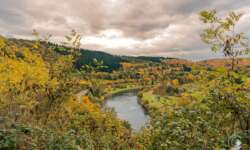 Blick über das Neckartal Blick über das Neckartal