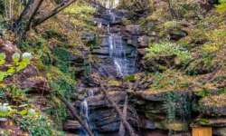 Herbstfarben in der Schlucht Herbstfarben in der Schlucht