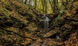 In der Margaretenschlucht In der Margaretenschlucht