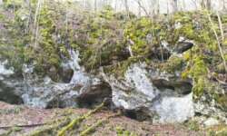 Höhlen-Oktett Höhlen-Oktett