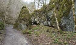 Felsenniesche Felsenniesche