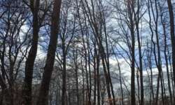 Sonnen-Frühlingstag Sonnen-Frühlingstag