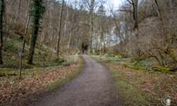 Erste Felsen im Wolfstal Erste Felsen im Wolfstal