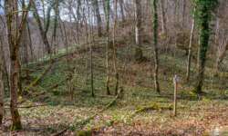 Am Eingang zum Wolfstal Am Eingang zum Wolfstal