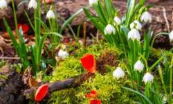 Meine Lieblingsstelle im Wolfstal Meine Lieblingsstelle im Wolfstal