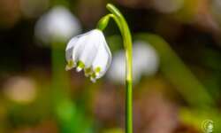 und noch ein Becher und noch ein Becher